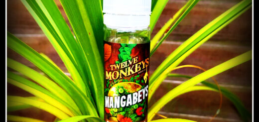 Mangabeys Twelve Monkeys